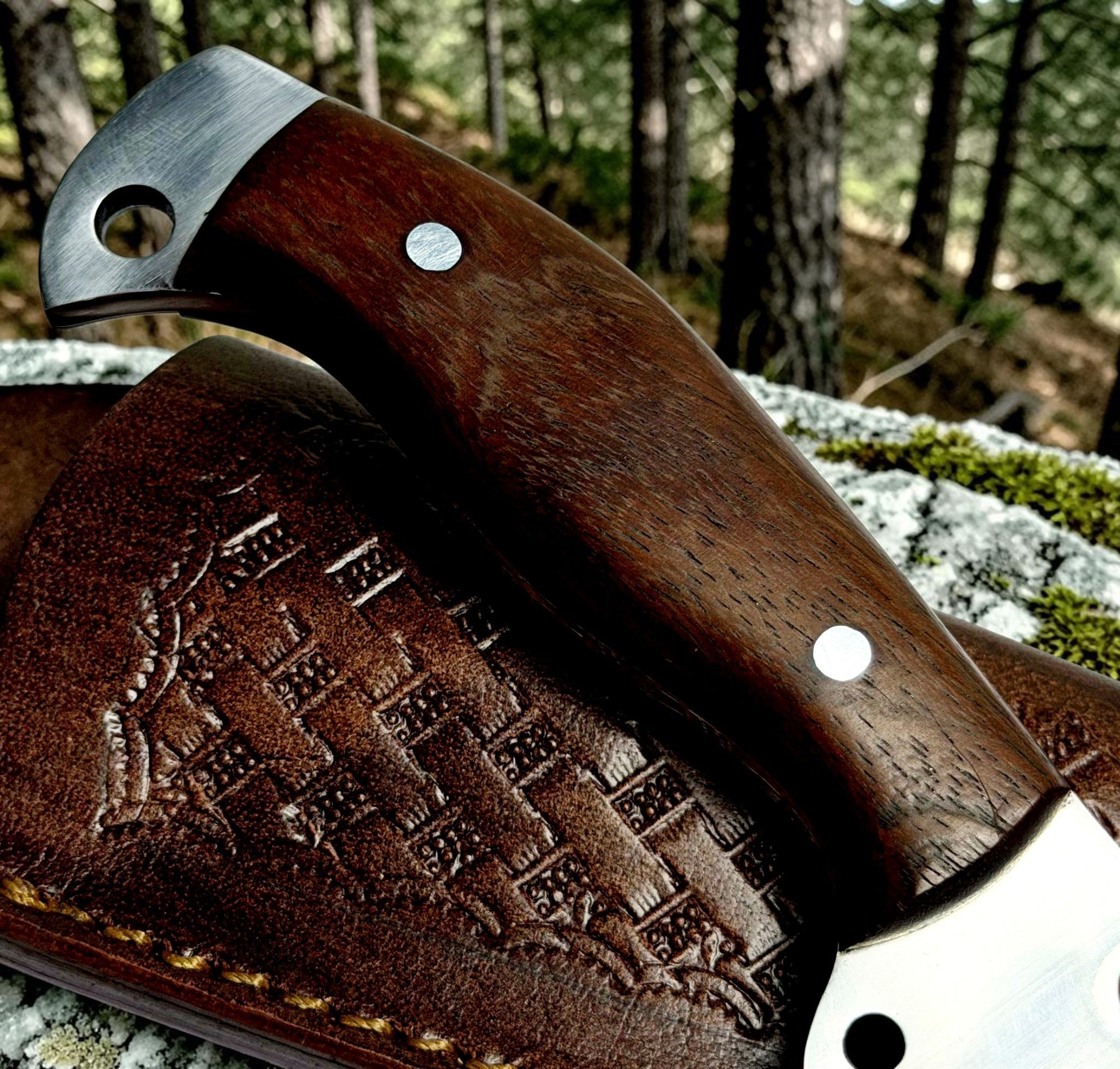 Timbercat Knives Handmade hunting skinner knife with leather sheath J2 Steel 1001