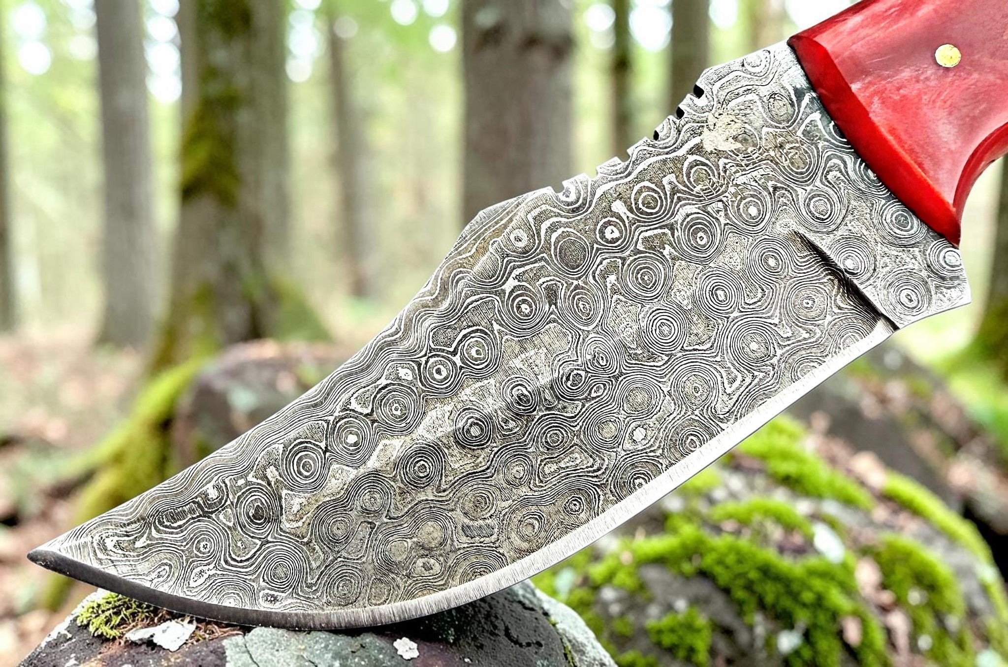 Timbercat Knives Handmade Damascus Steel Hunting Skinner Knife 8 Inches with Cowhide Leather Sheath 1026